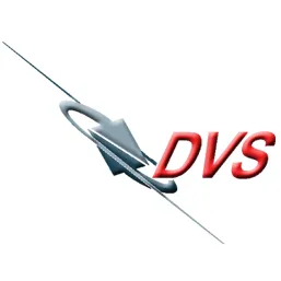 DVS Vision